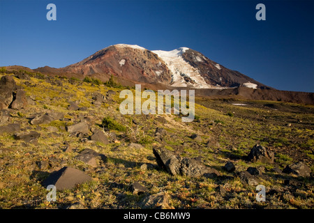 Almwiese im High Camp unter die Kletterroute Adams Gletscher am Mount Adams in der Mount Adams Wilderness Area. Stockfoto