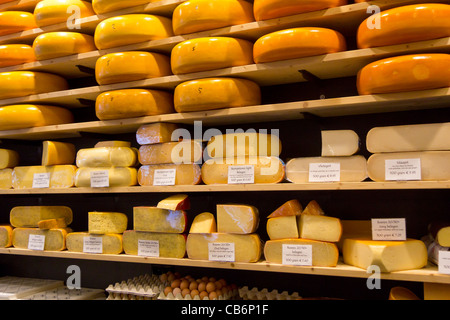 "Gouda Käse runden in den Regalen an ' t Kaaswinkeltje Käse einkaufen Gouda, Südholland, Niederlande Stockfoto