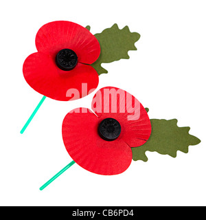 Gedenktag Mohnblumen auf weiß ausgeschnitten UK Stockfoto