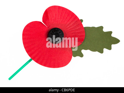 Gedenktag Mohn auf weißen ausgeschnitten UK Stockfoto