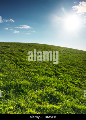 Grüne Wiesen Landschaft unter blauem Himmel mit hellem Sonnenlicht beleuchtet. Natur-Kulisse-Hintergrund. Stockfoto