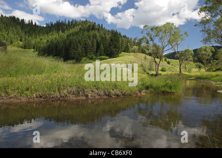 Sommerlandschaft mit einem kleinen Fluss in Rodopi-Gebirge in der Nähe von geschützten Bereich Trigrad-Schlucht, Bulgarien Stockfoto