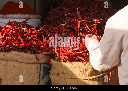 Jaipur heißen Säcke Reisen Chili Markt rote Mann Baudenkmäler ornamentalen voll rosa Stil Retro-Handstein traditionelle Stockfoto