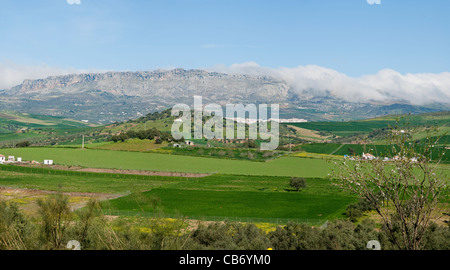 Torcal de Antequera Natural Park, Provinz Malaga, Andalusien, Spanien. Stockfoto