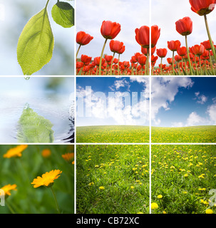 Natur Stockfoto