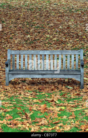 Bestandteil einer leere Holzbank unter Laub in einem Park an einem dumpfen Herbsttag Stockfoto