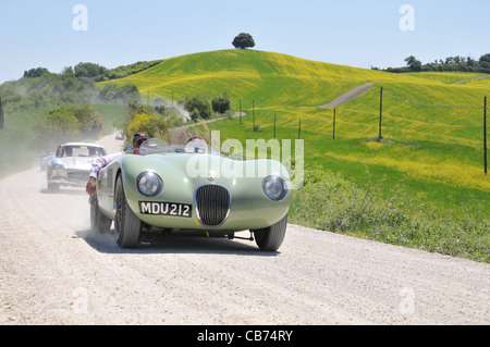 Ein 1952 grünen Jaguar C-Type, eine silberne Mercedes 300 SL W198 1954-ich Flügeltürer und eine 3. blau Auto bei 1000 Miglia Oldtimer-Rennen Stockfoto