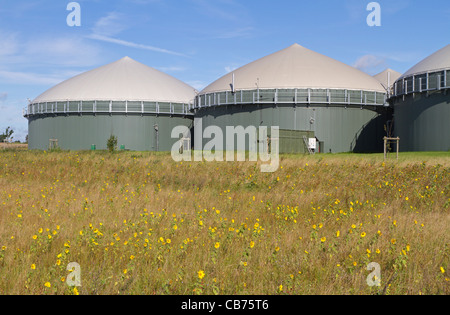 Biogas-Anlage Stockfoto