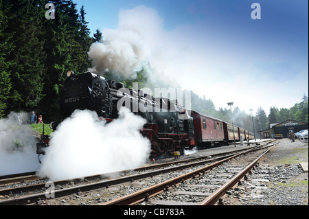 Dampflok am Bahnhof Schierke im Landkreis Harz Sachsen-Anhalt Deutschland Stockfoto