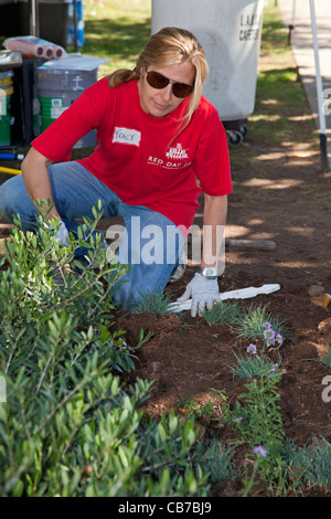 Keller Williams Freiwillige helfen aufräumen in Palisades Elementary School in Pacific Palisades Stockfoto