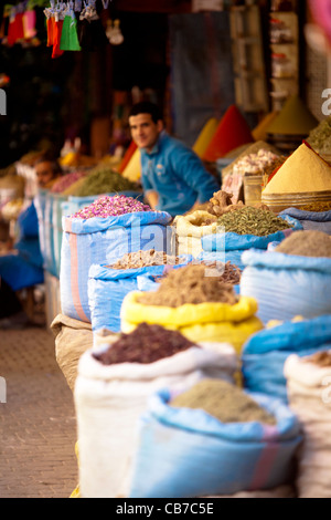 Bilder aus Marokko, Reisen vor allem in Marrakesch, Essaouira und Rabat. Stockfoto