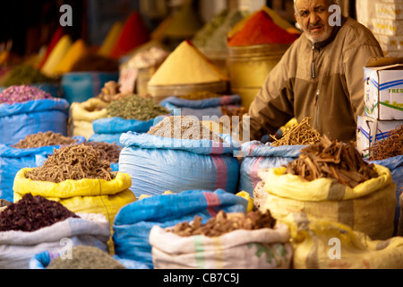 Bilder aus Marokko, Reisen vor allem in Marrakesch, Essaouira und Rabat. Stockfoto