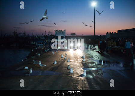 Bilder aus Marokko, Reisen vor allem in Marrakesch, Essaouira und Rabat. Stockfoto