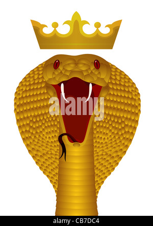 King Cobra Gold Stockfoto