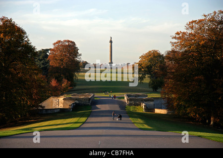 Blenheim Palace Oxfordshire die Spalte des Sieges in die große Allee Stockfoto
