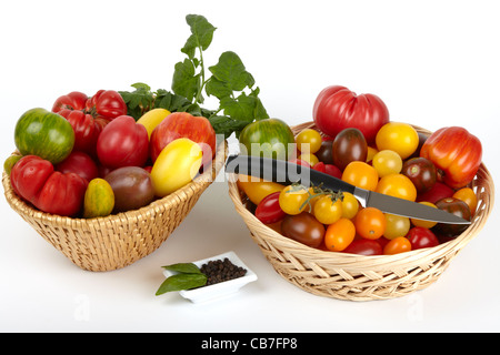 Zwei Körbe mit einer Vielzahl von Bio-Tomaten mit einem Messer und Pfefferkörner in einer Schale vor weißem Hintergrund Stockfoto