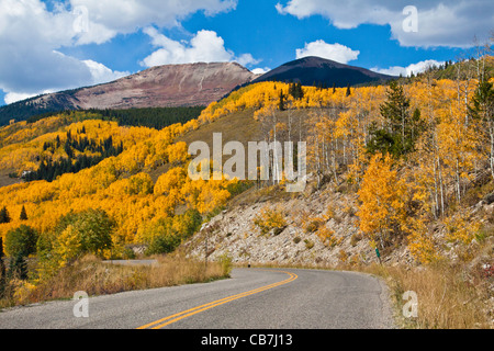 Herbstfarbe mit Aspen drehen - auf Kebler Pass Straße in Colorado. Stockfoto