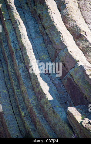 Kletterer erklimmen des Teufels Turmberg in Teufels Tower National Monument in Wyoming. Stockfoto