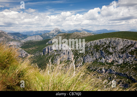 Ansicht der Verdon-Schlucht, Alpes de Haute Provence, Süd-Ost-Frankreich. Stockfoto