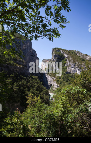 Ansicht der Verdon-Schlucht, Alpes de Haute Provence, Süd-Ost-Frankreich. Stockfoto