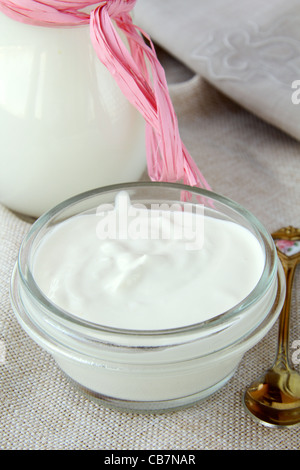 fermentierte Milch Produkt saure Sahne in eine weiße Tasse Stockfoto