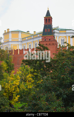 Der Senat und die rote Mauer umschließt Kreml am Roten Platz, Moskau, Russland Stockfoto