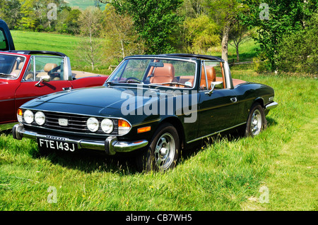 Markierung I Triumph Stag, zeichnet sich durch den grauen sichern auf das Emblem am Kühlergrill, Chideock Manor, in der Nähe von Bridport, Dorset. Stockfoto