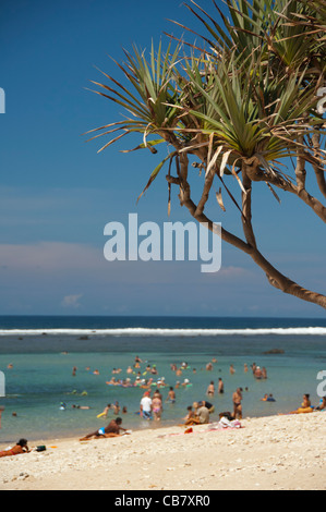 Französisches Überseegebiet (aka Francais d'Outre Mer), Insel La Réunion. Beliebten Badestrand in die Stadt St. Pierre. Stockfoto