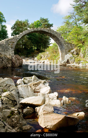 Alte steinerne Lastesel Steinbrücke über den Fluss Dulnain in Carrbridge in der Nähe von Aviemore. Highlands Region, Schottland Stockfoto