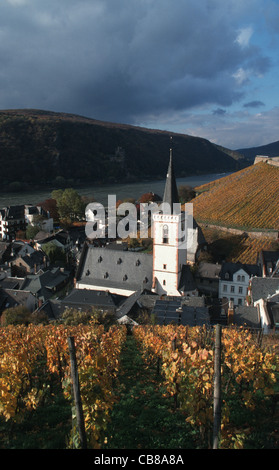 Blick Auf Assmannshausen, Weinberge Und Rhein, Rheingau, Hessen, Mittelrheintal, Herbst, Deutschland Stockfoto