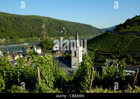 Blick Auf Assmannshausen, Weinberge Und Rhein, Rheingau, Hessen, Mittelrheintal, Deutschland Stockfoto