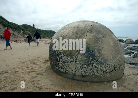 Moeraki Boulders, Moeraki Beach Ost Küste, Ortago, Südinsel, Neuseeland Stockfoto