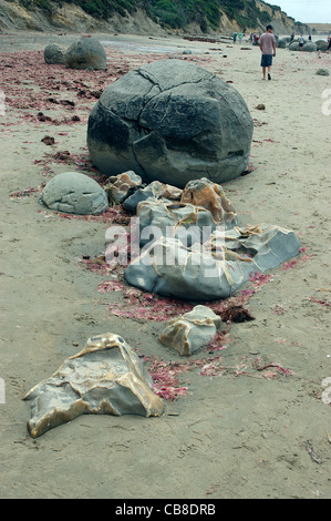 Moeraki Boulders, Moeraki Beach Ost Küste, Ortago, Südinsel, Neuseeland Stockfoto