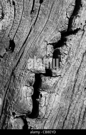 schwarz / weiß Aufteilung Kiefer Holz Hintergrundtextur geknackt Stockfoto