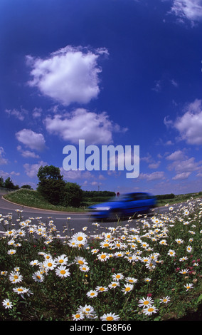 niedrigen Winkel Ansicht von Pkw auf Landstraße vorbei an wilden Blumen Yorkshire UK Stockfoto