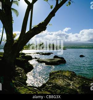 Coconut Island im Abend Sonnenlicht Hilo Bay Big Island Hawaii Stockfoto