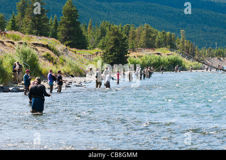 Menschen-Fliegenfischen für Sockeye Lachs im Kenai River, Alaska Stockfoto