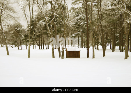 Schuppen und immergrüne und laubabwerfende Bäume mit Schnee auf den Zweigen und Boden. Kontrastreiches Bild mit textfreiraum im Vordergrund. Stockfoto