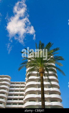 HOTEL PALME BLAUER HIMMEL Attraktive sonnige typisch weiße 5-Sterne-Luxus-Ferienanlage 'Tryp Hotel' mit Balkon & Palme Palma de Mallorca Spanien Stockfoto