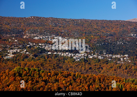 Monodendri (nach oben) und Vitsa (mit seinen 2 Nachbarschaften "Ano", in der Mitte und "Kato", unten), Region Zagori, Ioannina, Griechenland Stockfoto