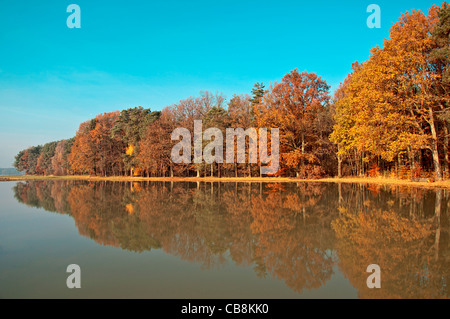 Herbstliche Bäume reflektiert in einem See Stockfoto