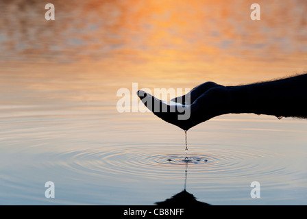 Hohle Hand raffte Wasser in einem noch See bei Sonnenaufgang in Indien. Silhouette Stockfoto