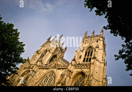 Westtürme des York Minster, eingerahmt von Bäumen. York, Großbritannien. Stockfoto