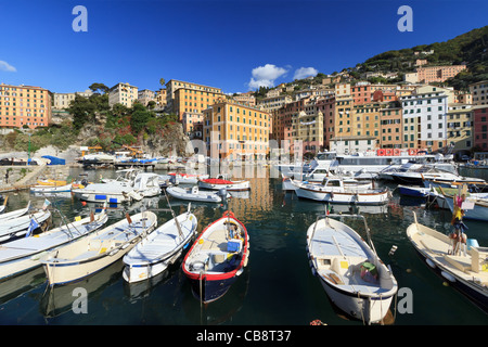 kleiner Hafen in Camogli, berühmten antiken Städtchen in Ligurien, Italien Stockfoto