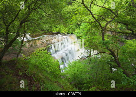 Sgwd Clun-Gwyn Wasserfall. In der Nähe von Ystradfellte. Brecon Beacons National Park. Powys. Wales. VEREINIGTES KÖNIGREICH. Stockfoto