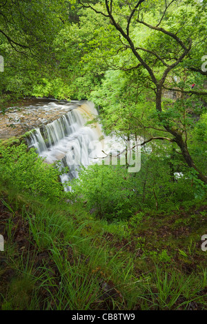 Sgwd Clun-Gwyn Wasserfall. In der Nähe von Ystradfellte. Brecon Beacons National Park. Powys. Wales. VEREINIGTES KÖNIGREICH. Stockfoto