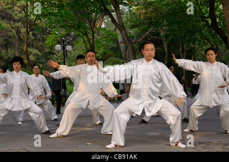Morgen tai chi Klasse in Position unter Bäumen in zizhuyuan lila Bambus Park in Peking, China auf nationaler Tag Stockfoto