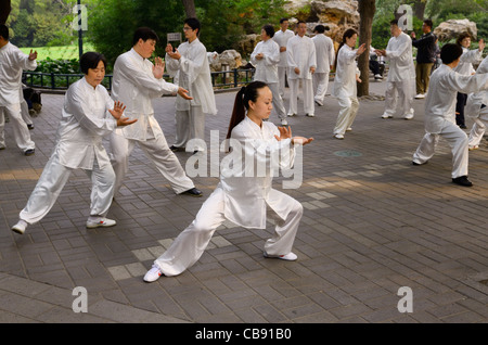 Klasse tai Chi üben bewegt sich unter Bäumen in zizhuyuan lila Bambus Park in Peking, China auf nationaler Tag Stockfoto