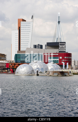 Der schwimmende Pavillon, ein Ausstellungspavillon in der Stadt-Hafen von Rotterdam. Stockfoto