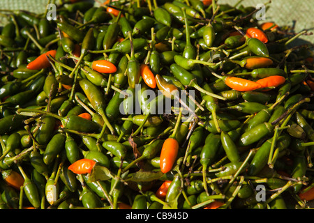 Indien, Meghalaya, Jaintia Hills, Shillong Bezirk, Ummulong Bazar, rot und grün Chilis zum Verkauf Stockfoto